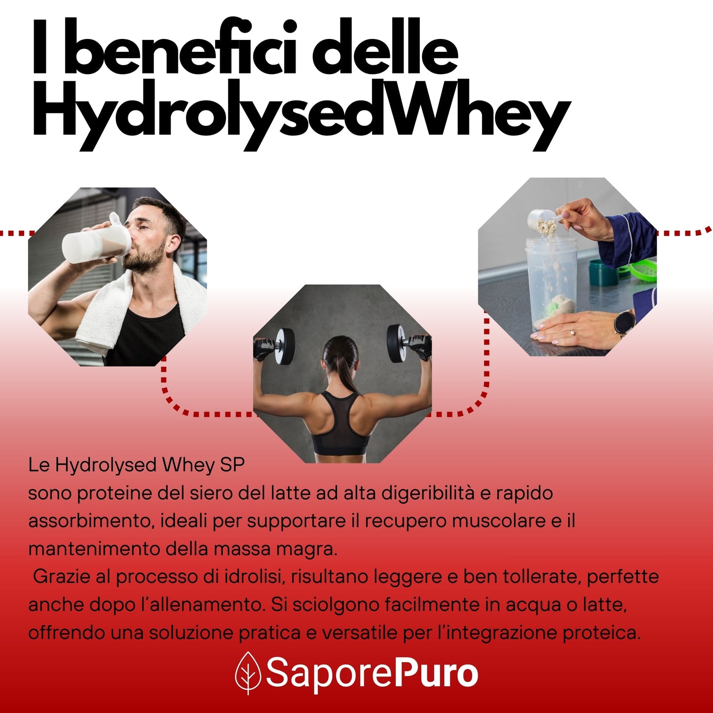 HydrolysedWhey SP SaporePuro – Proteine Idrolizzate e Isolate del Latte - 100% Optipep 9862 - GelatoStore
