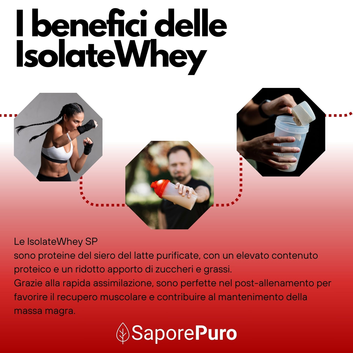 IsolateWhey SP – Proteine Whey Isolate del Latte - 100% Isolac 9102 Instant - GelatoStore