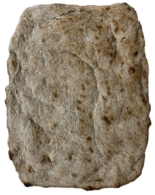 Schiacciata con farina integrale