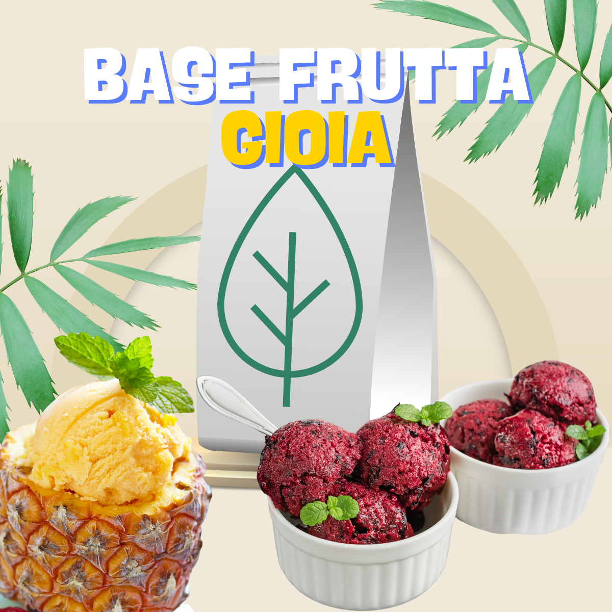Base Frutta Gioia 240 - 4,8kg - Base per Sorbetti Completa senza additivi - SaporePuro - SaporePuro