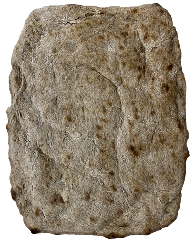 Schiacciata con farina integrale - GelatoStore