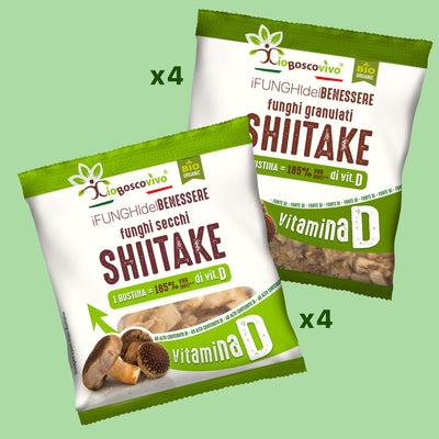 Box Funghi Shiitake - GelatoStore