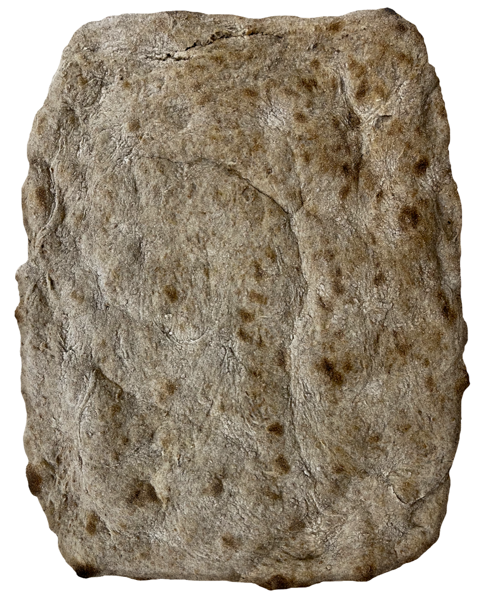 Schiacciata con farina integrale - GelatoStore