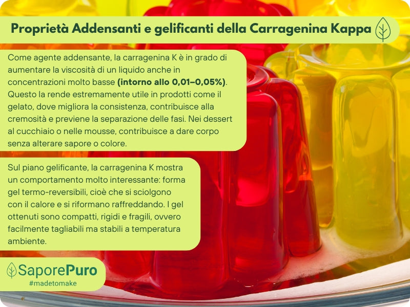 Carragenina Kappa (E407) - Confezionato in Italia - GelatoStore