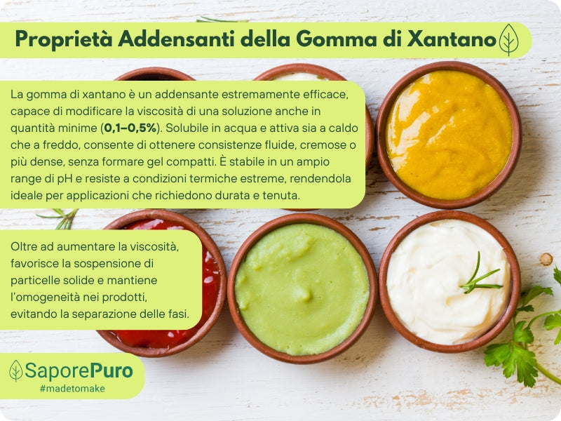 Gomma di Xantano - E415 -  Confezionato in Italia - GelatoStore