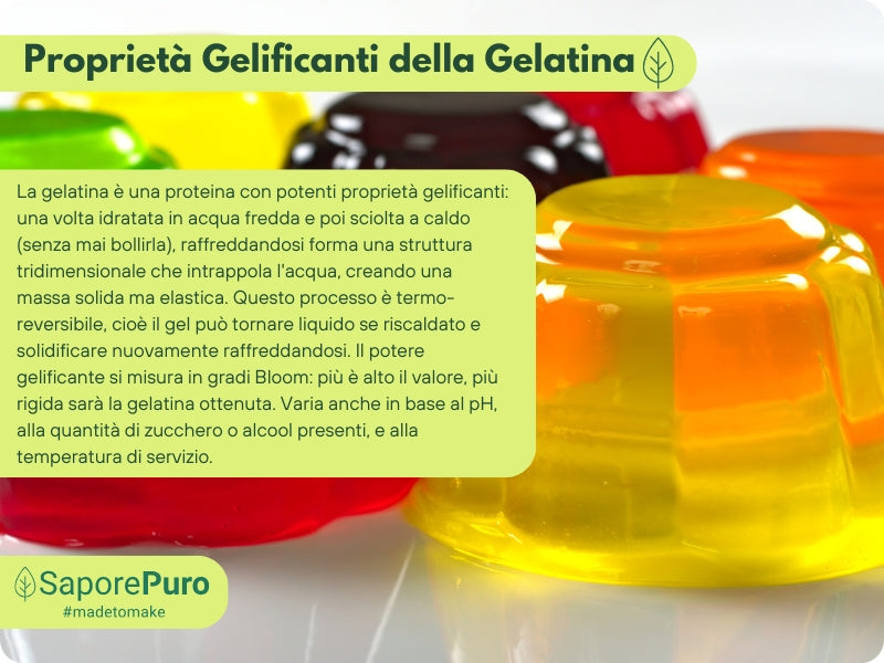 Gelatina Istantanea 200-220 bloom  - E441 - GelatoStore