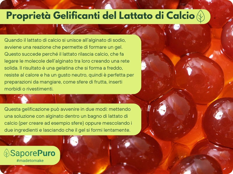 Lattato di calcio in polvere  - E327 - Sferificazione Molecolare - GelatoStore