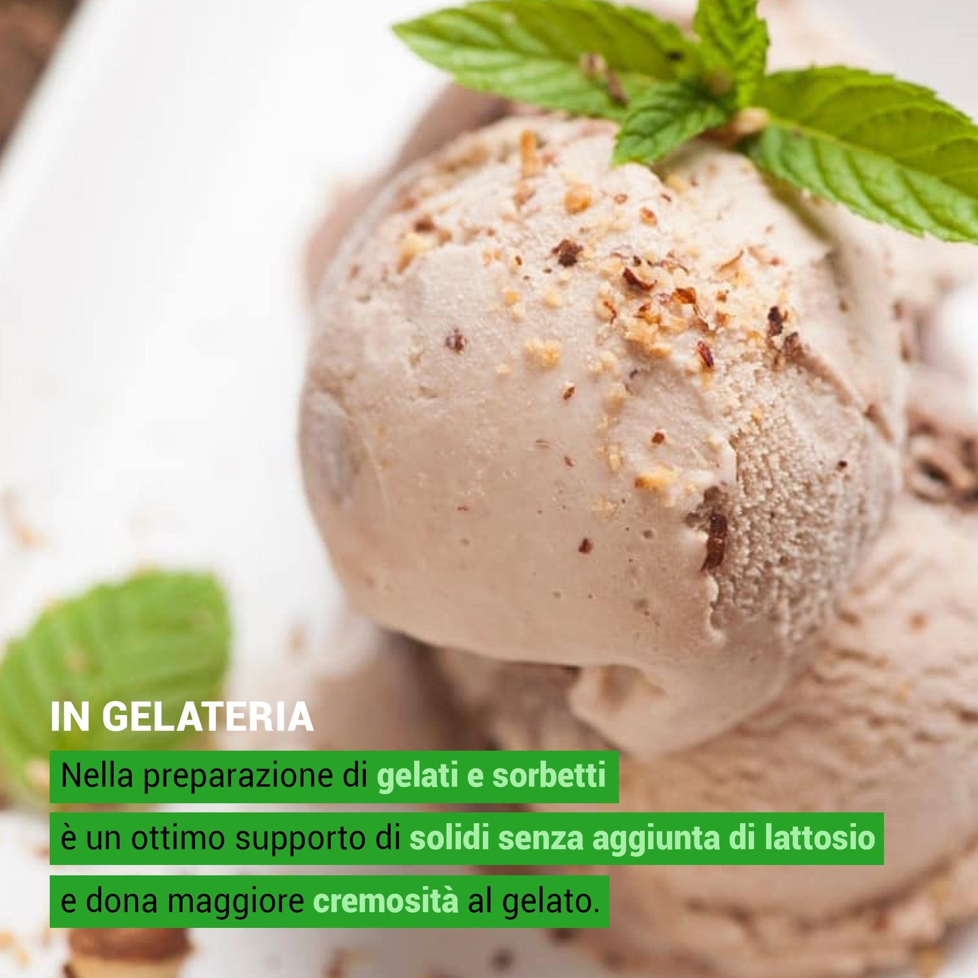 Inulina FeelGood BIG - Fibra Solubile Basso IG - Prebiotica e Solubile - GelatoStore