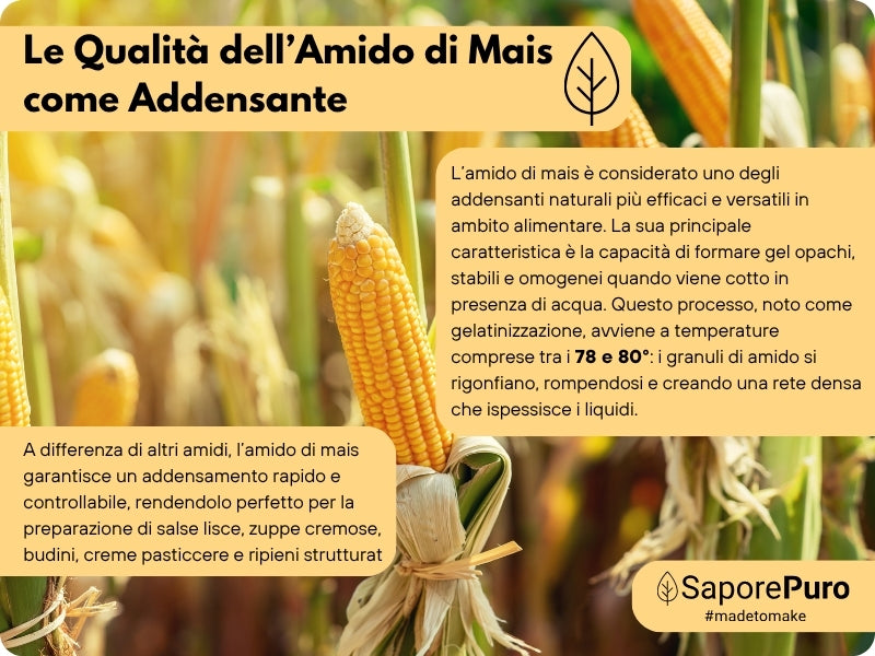 Amido di mais Nativo - Addensante potente, naturale e funzionale- Gluten Free - GelatoStore