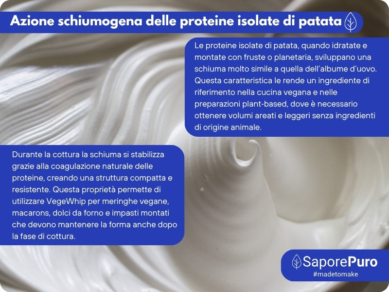 Proteine Isolate di Patata - Albume Vegano - VegeWhip - Per realizzare prodotti Vegan - GelatoStore