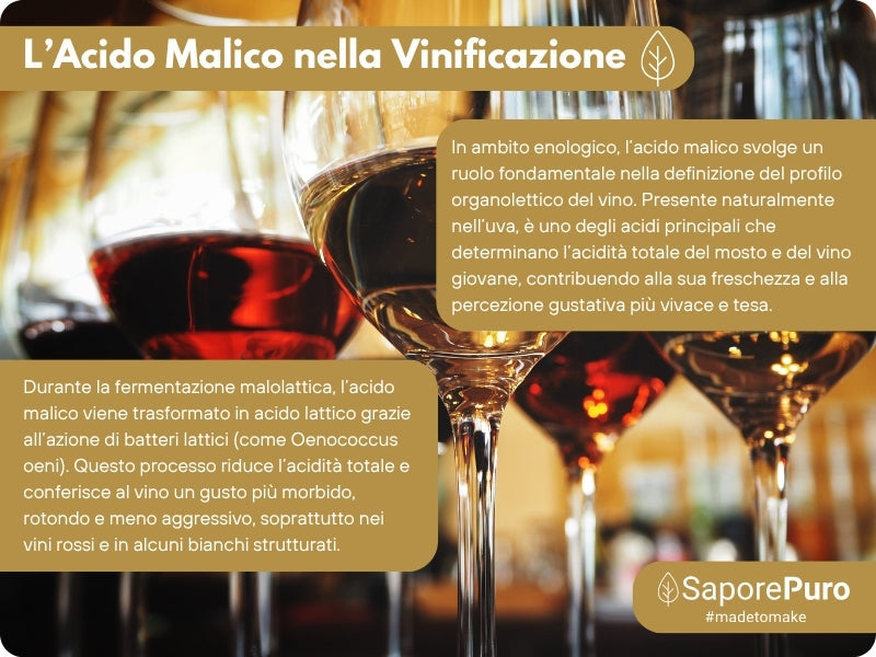 Acido Malico Premium - Made in Italy - Ingrediente Professionale per Mixology e Enologia - GelatoStore