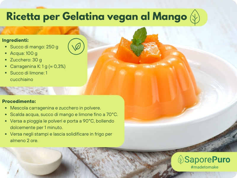 Carragenina Kappa (E407) - Confezionato in Italia - GelatoStore