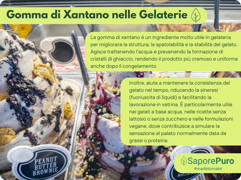 Gomma di Xantano - E415 -  Confezionato in Italia - GelatoStore