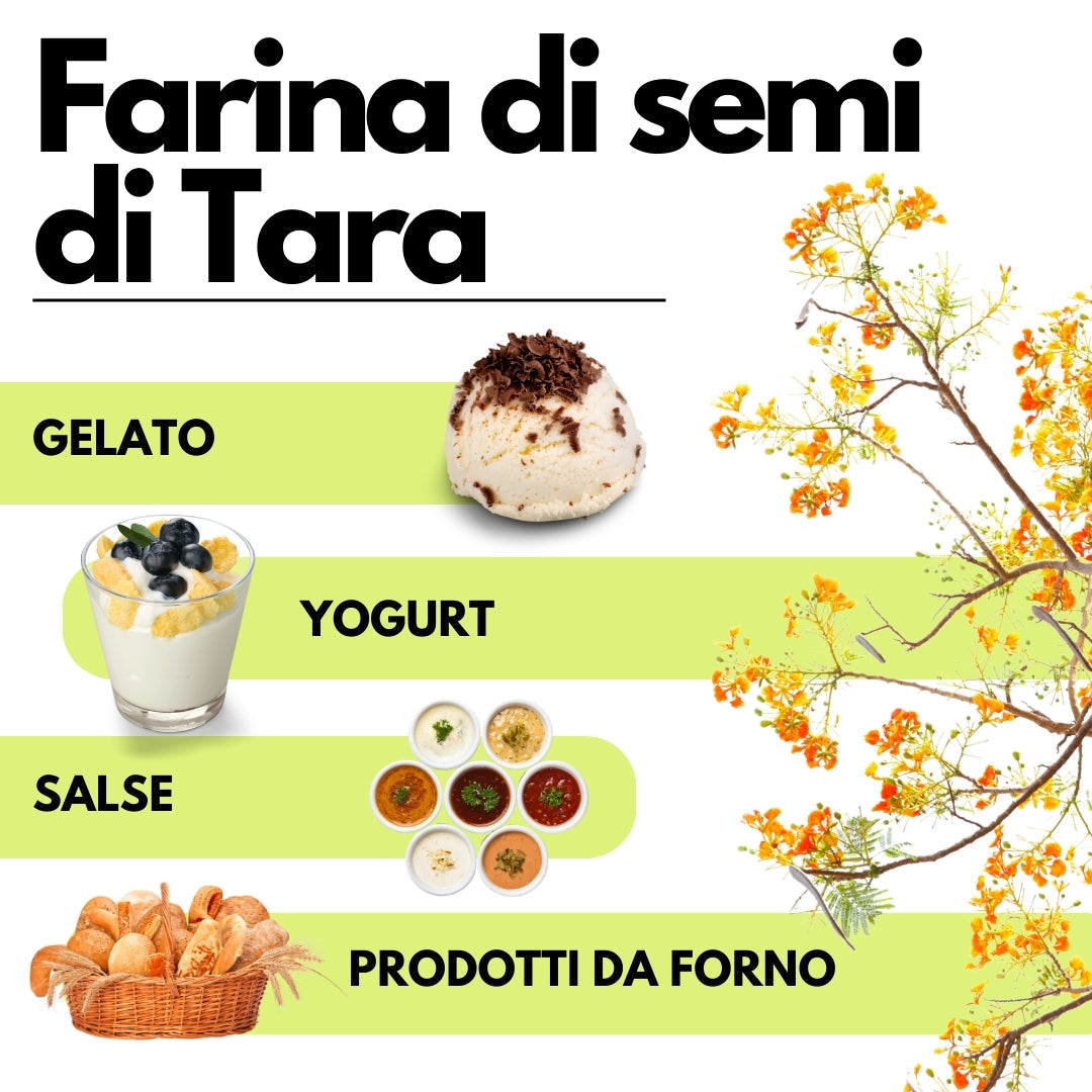 Farina di Semi di Tara - Gomma di Tara - Origine Perù - E417 - Confezionato in Italia - GelatoStore