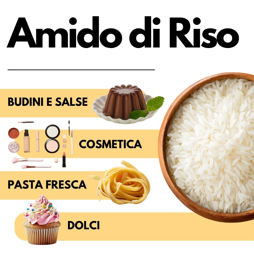 Amido di riso - Amido Nativo 100% Origine Italia - GelatoStore