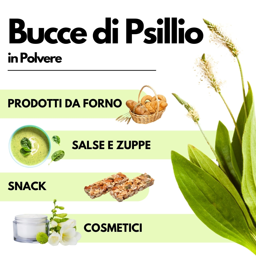 Bucce di Psillio in Polvere -Fibra di Psillio - GelatoStore