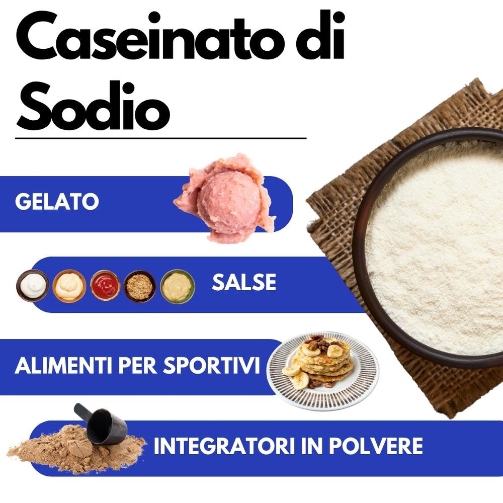 SaporePuro sodium caseinate powder, gluten-free protein from milk, used for cooking and baking, shown in a clear container.
