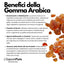 SaporePuro gomma arabica in polvere, Italian packaging, ingredient for cooking and baking, fine powder in a clear bag.