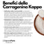 Carragenina Kappa (E407) - Confezionato in Italia - GelatoStore