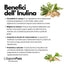 Pura inulina in polvere, SaporePuro brand, European origin, ideal for cooking and baking, close-up of the white powder in a jar