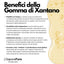 Gomma di xantano SaporePuro E415 in confezione, prodotto naturale italiano per cucina e pasticceria.