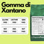 Gomma di Xantano - E415 -  Confezionato in Italia - GelatoStore