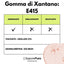 Gomma di Xantano - E415 -  Confezionato in Italia - GelatoStore