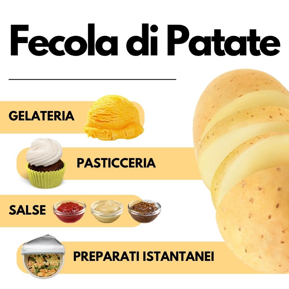 Fecola di patate SaporePuro in confezione italiana, immagine della polvere bianca per cucina e dolci.