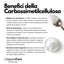 Carbossimetilcellulosa - CMC - E466 - GelatoStore