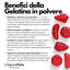 Gelatina Istantanea 200-220 bloom  - E441 - GelatoStore