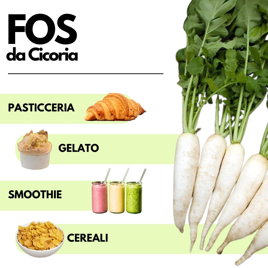 Oligofruttosio: il sostituto dello zucchero naturale al 100% - FOS - Frutto Oligo Saccaridi - Origine Europa - GelatoStore