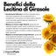 SaporePuro Lecitina di Girasole E322, sunflower lecithin, for cooking and baking, natural ingredient alternative to soy lecithin