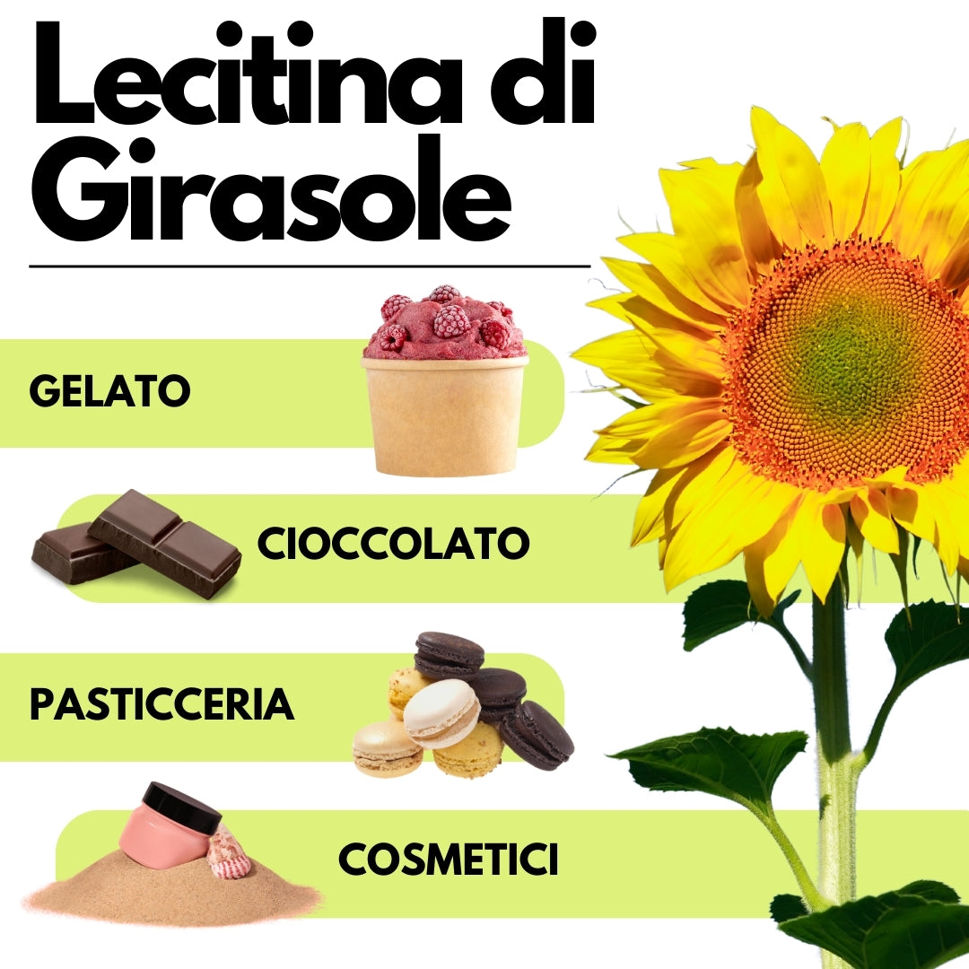 Lecitina di Girasole E322 - De-Oleata - Alternativa alla Soia - GelatoStore