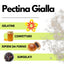 Pectina Gialla (Jaune) SaporePuro - Gelatine di Frutta, Marmellate, Gel Spessi - GelatoStore