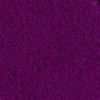 100% Ribes Nero liofilizzato in polvere BIO - 100g - GelatoStore