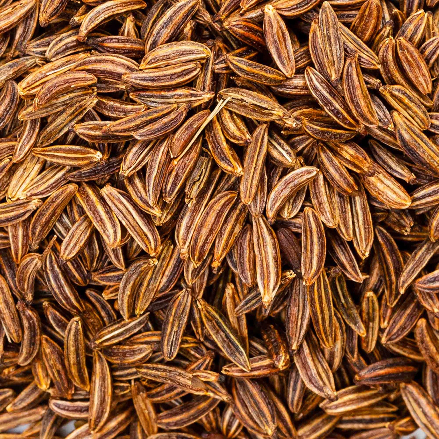 100% Semi di Cumino interi BIO - 100g Ideale per insaporire - GelatoStore