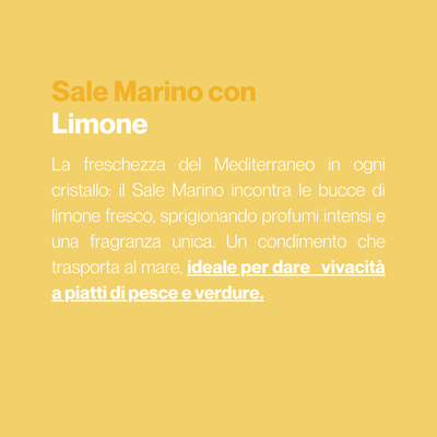 SALE MARINO CON LIMONE - GelatoStore