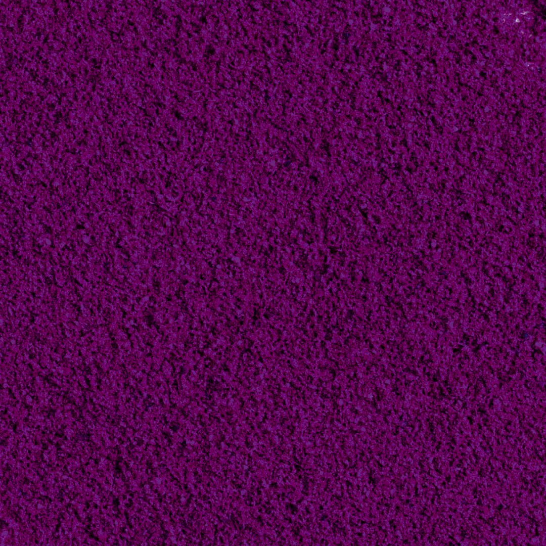 100% Ribes Nero liofilizzato in polvere BIO - 100g - GelatoStore