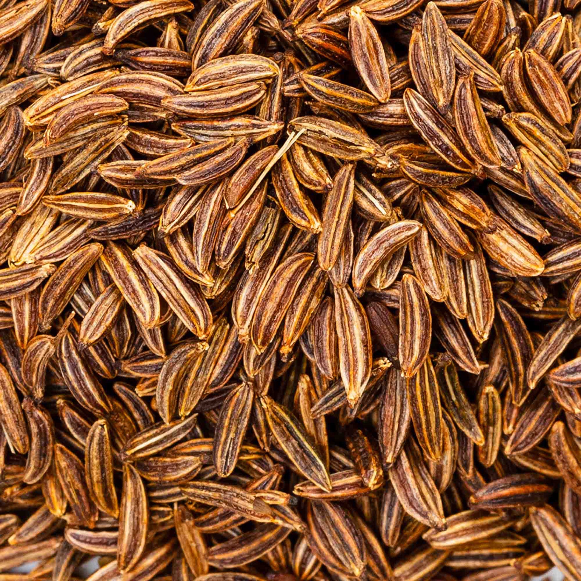 100% Semi di Cumino interi BIO - 100g Ideale per insaporire - GelatoStore