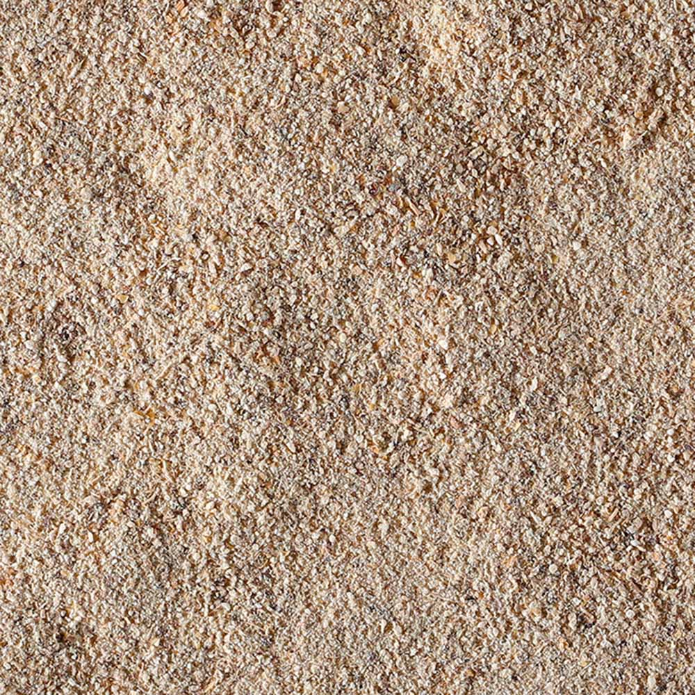 100% Fungo Lion's Mane in polvere BIO - 100g - GelatoStore