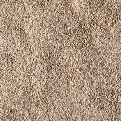 100% Fungo Lion's Mane in polvere BIO - 100g - GelatoStore