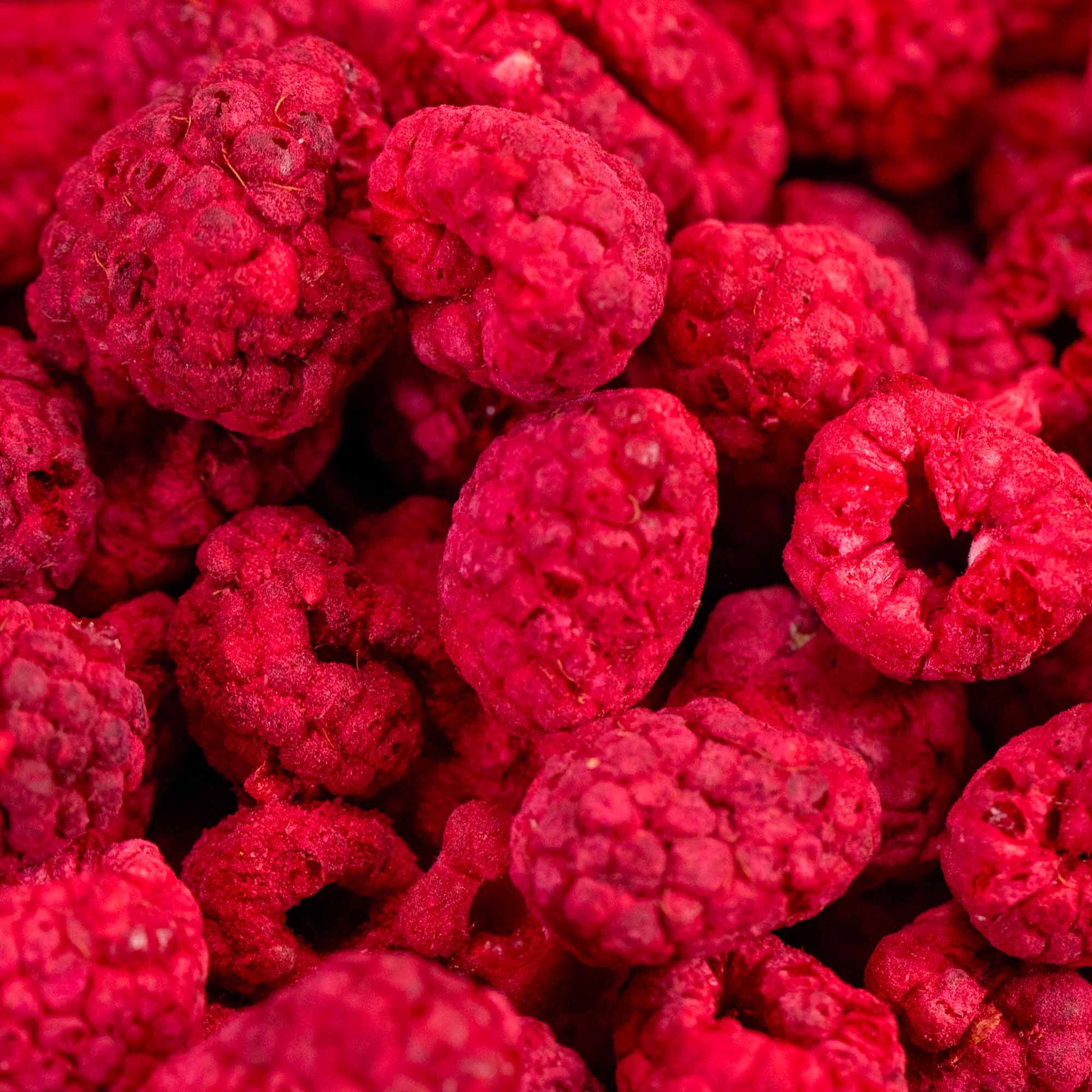 100% Lampone Snack liofilizzato intero BIO - 20g - GelatoStore