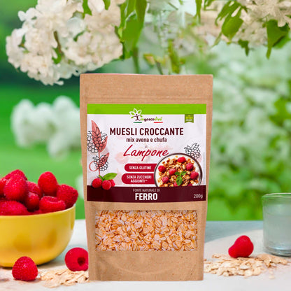 Muesli Croccante Bio Avena Chufa e Lampone Senza Glutine 200g - GelatoStore