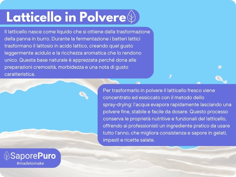 Latticello in polvere - 1KG - Siero di Latte in polvere - SaporePuro