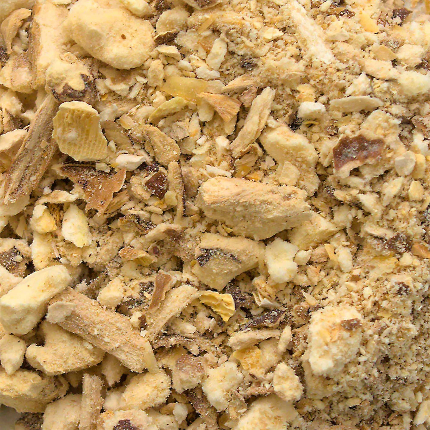 Funghi Shiitake secchi Granulati BIO 8g - GelatoStore